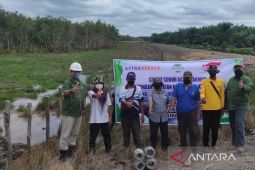 CSR PT SAM untuk kelompok peternak kerbau rawa Daha Barat