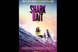 Film "Shark Bait", Ketika liburan musim panas menjadi malapetaka