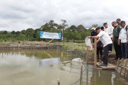 PLTA Peusangan dukung peningkatkan ekonomi masyarakat
