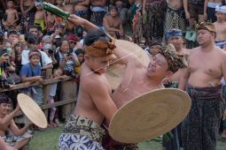 Tradisi perang pandan di Tenganan kembali digelar