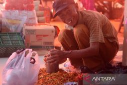 Dinas Perdagangan : Harga rempah-rempah di Gorontalo Utara naik