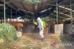 Idul Adha mempunyai dampak ekonomi luar biasa