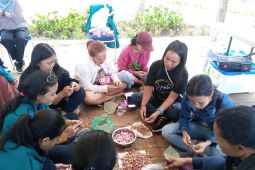 Wujudkan Tridharma Perguruan Tinggi, Polbangtan Kementan gandeng Otorita Danau Toba dampingi petani