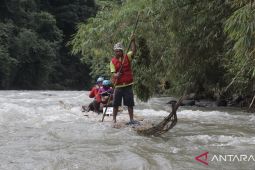 South Kalimantan offers four potential green investments
