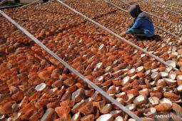 Investor di Sulbar siap bangun laboratorium uji produk kelapa