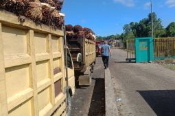 Dua pabrik sawit di Mukomuko kembali beroperasi