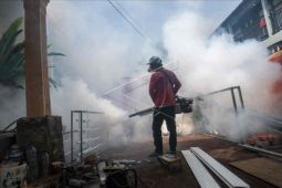 Dinkes Cirebon catat kasus DBD Januari hingga Juni capai 1.000 orang