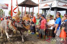 Lomba makepung Kapolres Jembrana Cup diikuti ratusan peserta