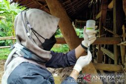 Pemkab Pandeglang terima 100 dosis vaksin PMK untuk hewan ternak