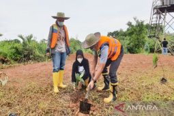 PLN tanam bibit pohon di sekitar PLTU Asam-Asam