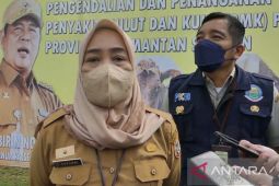 Vaksinasi hewan ternak sapi di Kalsel sudah di atas 70 persen