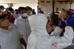 Pemerintah Kubu Raya siapkan 1.200 dosis vaksin upaya pencegahan PMK