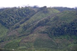 Perambahan ilegal di kawasan TNKS Jambi
