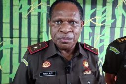 Kejati Papua usut dugaan korupsi pengerjaan kabel listrik di Pegubin