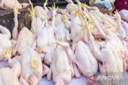 Disperindag Sumut pastikan stok daging ayam dapat penuhi kebutuhan