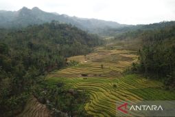 FSC luncurkan standar sertifikasi SPH bagi Petani-Hutan di Yogyakarta