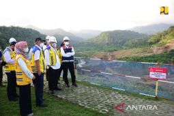 Hindari tebang pohon jika tidak perlu dalam pembangunan