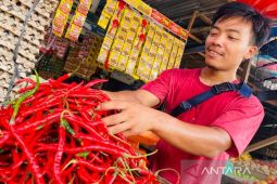 Harga cabai di Banda Aceh turun