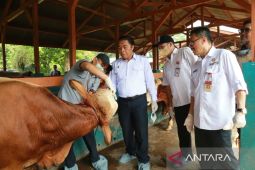 Menjelang Idhul Adha, Pj Gubernur Al Muktabar Kendalikan Penyebaran PMK di Provinsi Banten
