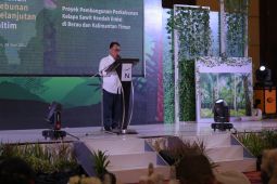 Disbun Kaltim apresiasi  Program Pembangunan Perkebunan Rendah Emisi