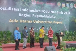 KLHK: Hutan Papua harus dijaga dan dilestarikan
