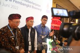 Dirjen EBTKE: Co-firing jadi tumpuan utama transisi energi bagi negara agraris