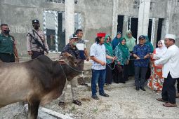 Ketua PKK Sulteng  serahkan bantuan sapi kurban gubernur di Parigi