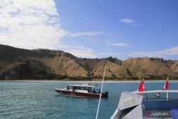 Kenaikan tiket TN Komodo pengaruhi kunjungan wisatawan