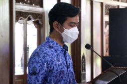 Ini kata Gibran soal CPNS mundur karena gaji kecil