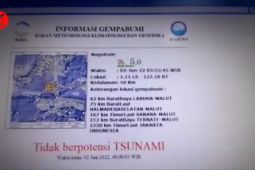 Gempa bumi magnitudo 5,0 guncang Halmahera Selatan