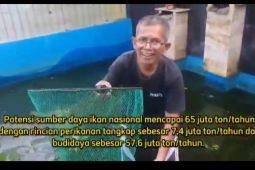 Ayo makan ikan