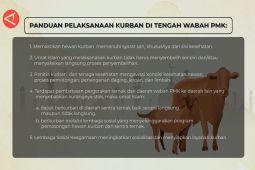 Simak fatwa MUI terkait ibadah kurban di tengah wabah PMK