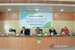 Kerusakan gambut dan mangrove ancam kelestarian lingkungan di Ketapang