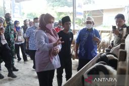 Jelang Idul Adha, Bupati Irna tinjau lapak untuk pastikan keamanan dan kesehatan hewan kurban