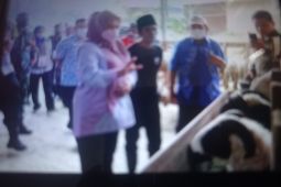 Bupati Pandeglang pastikan untuk hewan kurban aman dan sehat