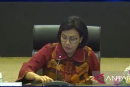 Sri Mulyani ungkap Singapura negara asal terbesar deklarasi PPS