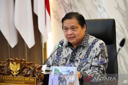 Teknis penggantian sapi terjangkit PMK diatur Permentan, kata Airlangga