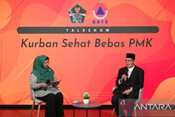 Ulama sebut hewan dengan gejala ringan PMK sah untuk kurban