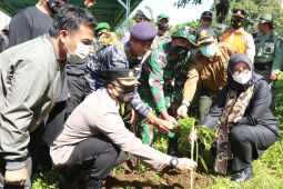 Banyuwangi tanam 7.600 pohon di jalur Gunung Ijen antisipasi longsor