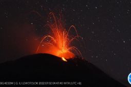 Gunung Ile Lewotolok terpantau terjadi 15 kali letusan
