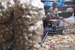 FKP3 dukung KPK usut dugaan korupsi impor bawang putih