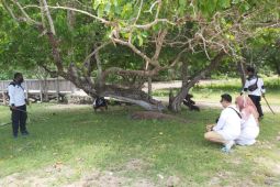 Presiden Joko Widodo beberkan pertimbangan kenaikan tarif masuk Pulau Komodo