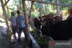 Cegah semakin masif penyebaran PMK polisi blusukan ke peternakan