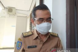 Sebanyak 1.182 ekor sapi di Bengkulu terinfeksi PMK