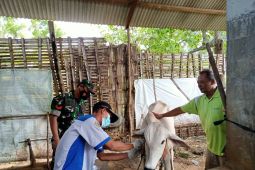 Pemkab Gresik mulai vaksinasi hewan ternak untuk cegah PMK