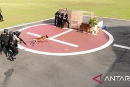 Unit K-9 Direktorat Samapta Polda Kalbar miliki sejumlah fungsi pengamanan tugas kewilayahan
