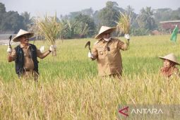 Kelompok tani di Sukabumi didorong manfaatkan teknologi, tingkatkan produksi