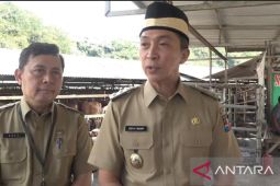 Pemkot sambut baik rencana pemerintah ganti rugi sapi mati kena PMK