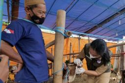 Warga Kota Madiun diimbau patuhi SOP penyembelihan hewan kurban
