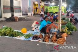 Produk pertanian Papua Barat terganjal pemasaran